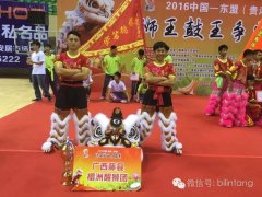 广西藤县禤州獅队获2016中国东盟杯（贵港）獅王